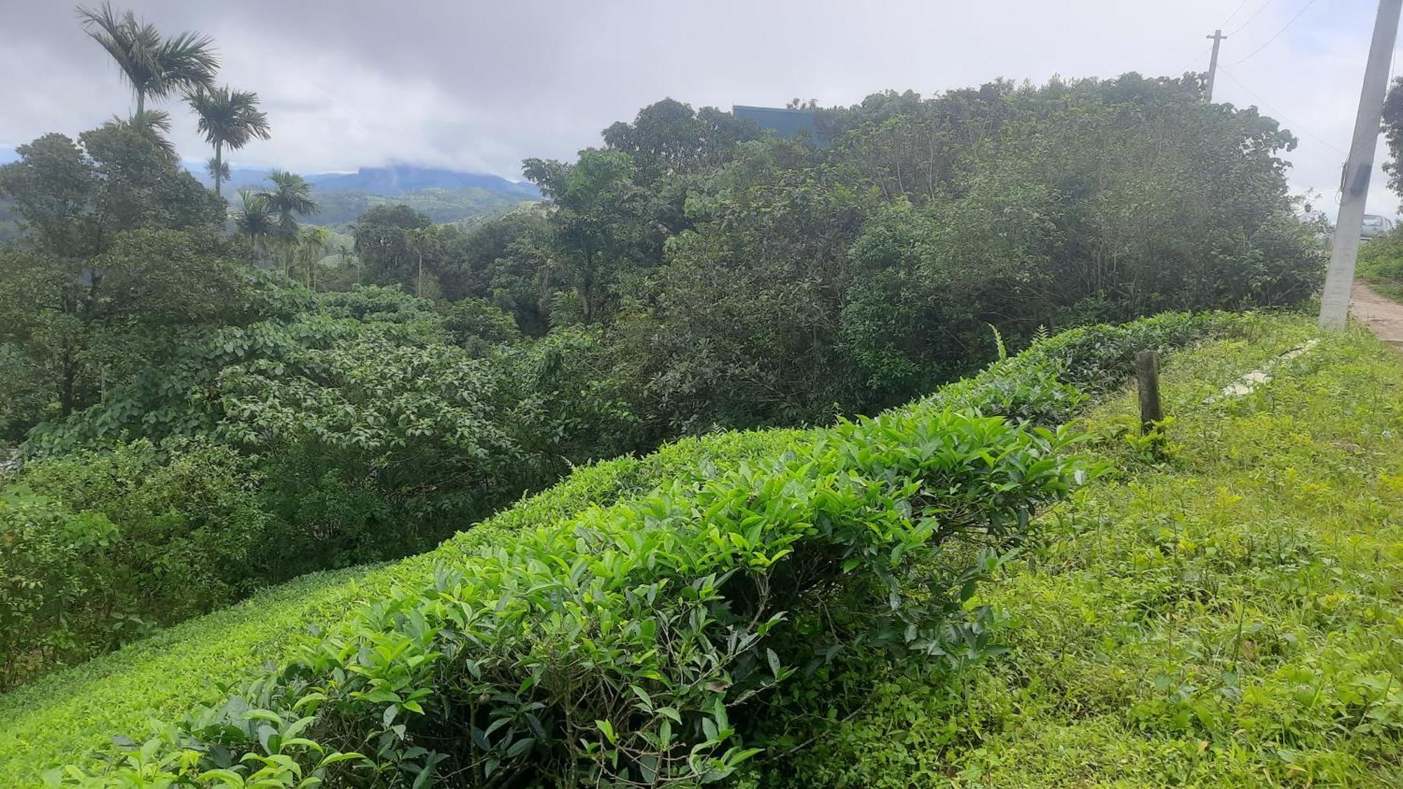 Paradise Meadows Vagamon Buitenkant foto